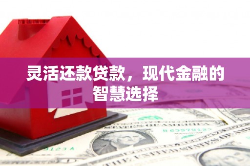 郾城灵活还款贷款，现代金融的智慧选择