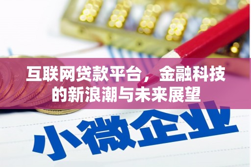 金普新区互联网贷款平台，金融科技的新浪潮与未来展望