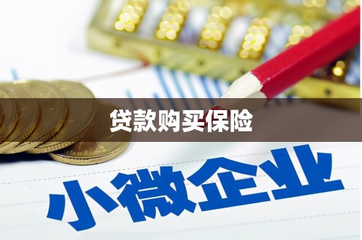 汾西贷款购买保险