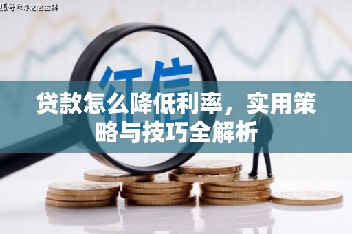 新野贷款怎么降低利率，实用策略与技巧全解析
