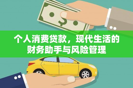 桃山个人消费贷款，现代生活的财务助手与风险管理