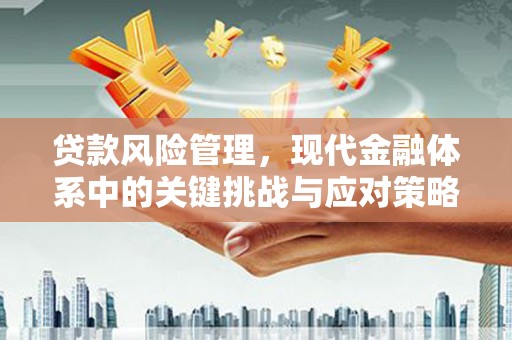 草屯贷款风险管理，现代金融体系中的关键挑战与应对策略