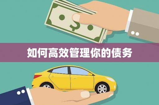 罗东如何高效管理你的债务