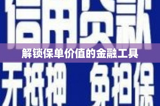 修文解锁保单价值的金融工具