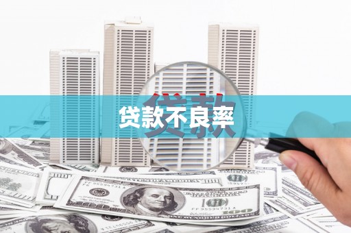 内湖贷款不良率